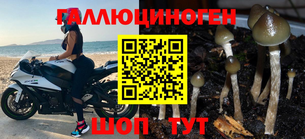 ГАШИШ  НБОМе  Экстази  МЕФ   Коряжма  MDMA  Вход с VPN  КОКАИН  АМФ кристаллы  МАРИХУАНА 