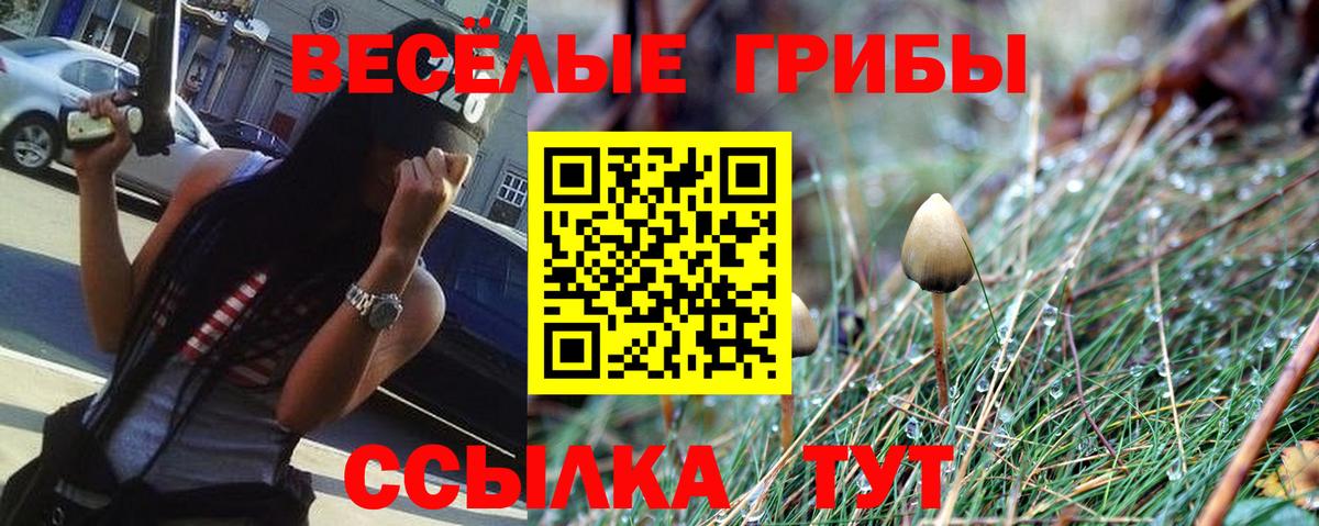 Коряжма  Псилоцибиновые грибы Cubensis  Галлюциногенные грибы GOLDEN TEACHER  Вход с VPN 